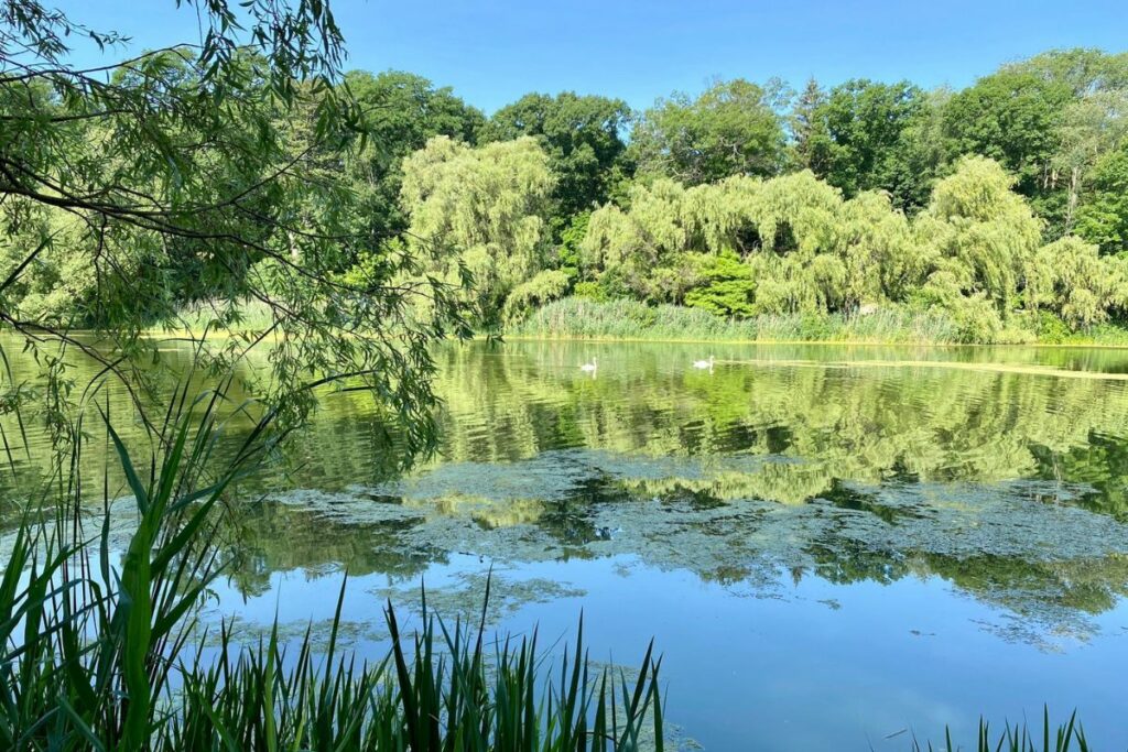 Lana Koshsky High Park Area Trails